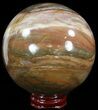 Colorful Petrified Wood Sphere #49775-1